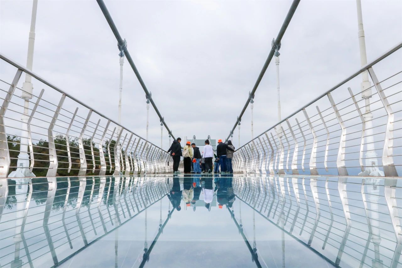 1733192232100844.jpg 微信图片_20241203101342.jpg