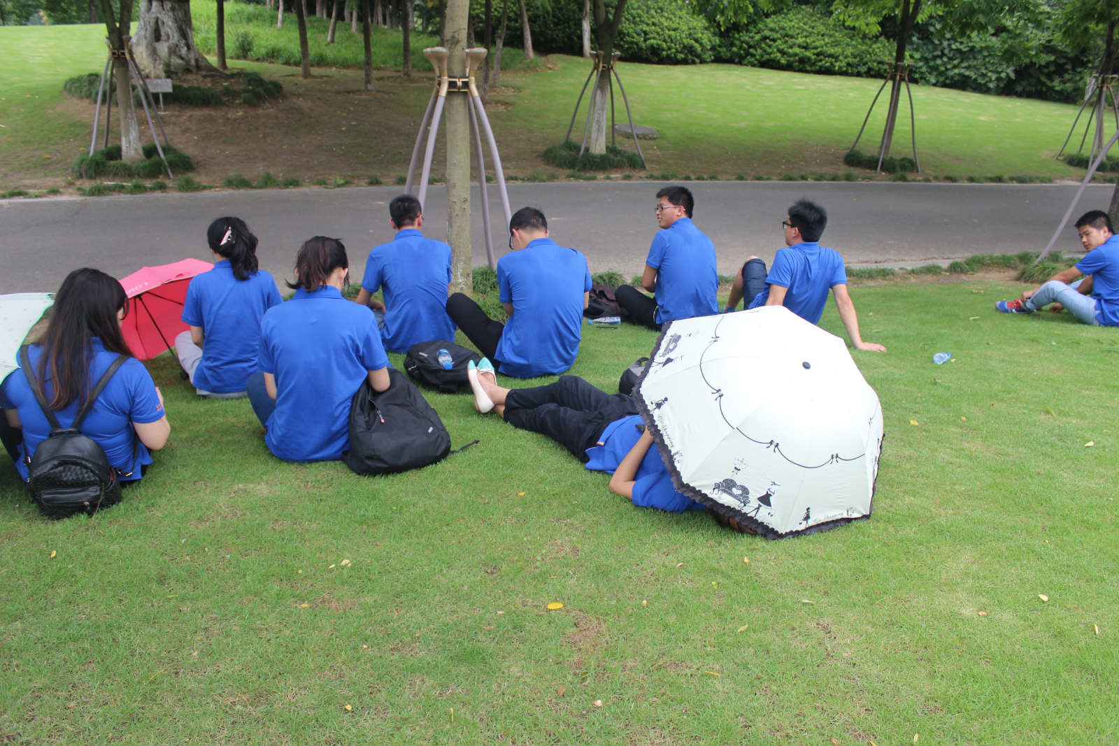 合照背影图 合照背影图